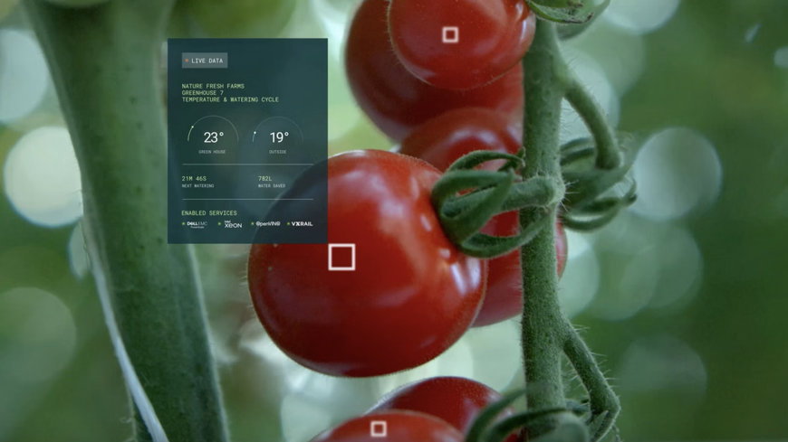 NATURE FRESH FARMS AND INTEL GROW THE FUTURE OF SUSTAINABLE FARMING